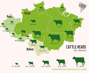 Distribution of Cattle in Brazil 