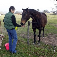 Julia on her ranch before Keystone starts work