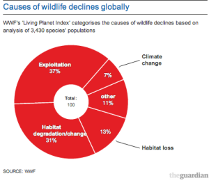 Wildlife Decline Graph - from The Guardian
