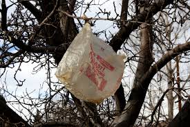 2014-11-02 Plastic Bags in Tres - Public Domain Images