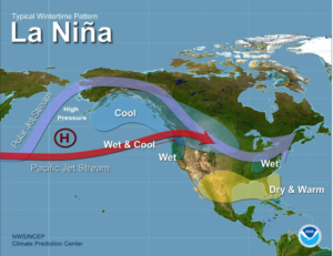 Nina Winter - Weather Network